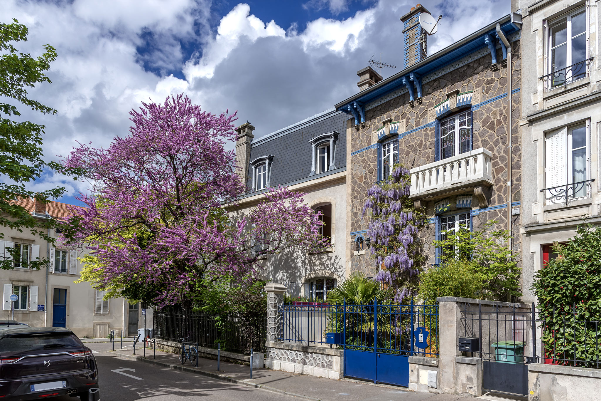 Rue Emile Galle - Arbre de Judee, Nancy